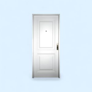 80 x 200 Puerta de acceso modelo 2 STD